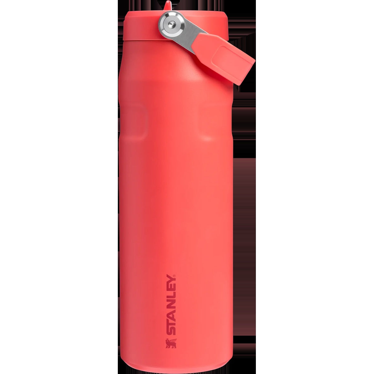 IceFlow Flip Straw 2.0 Bottle 24 oz