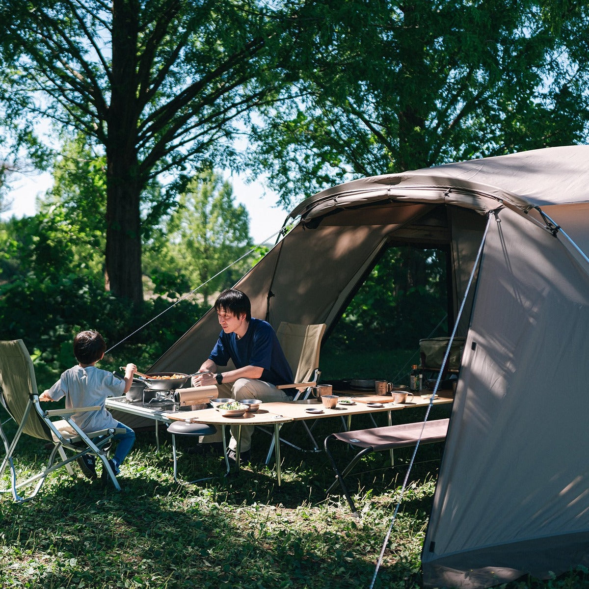 Land Nest Shelter
