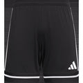 Men's Squadra 25 Shorts