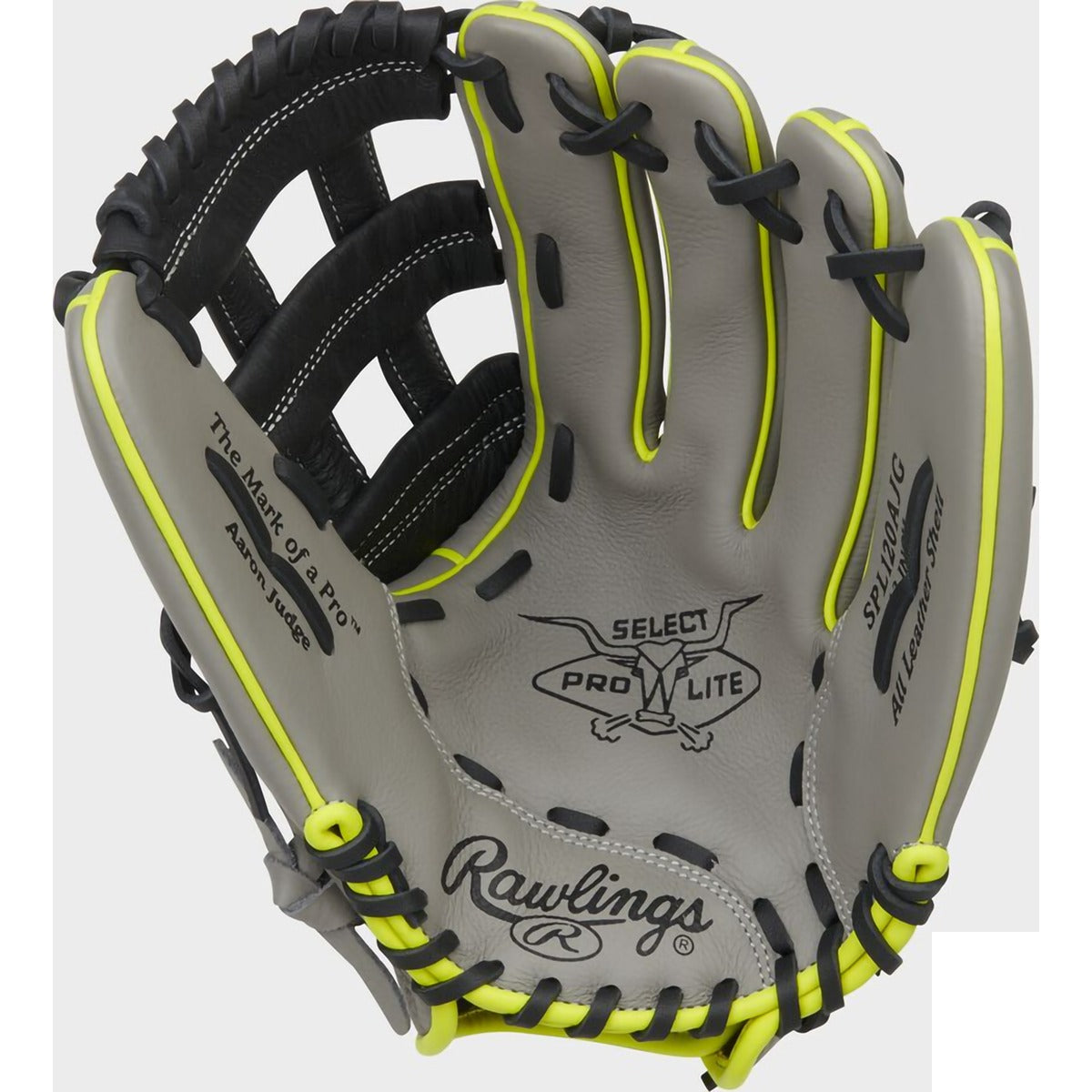 Youth Select Pro Lite Judge 12" H-Web