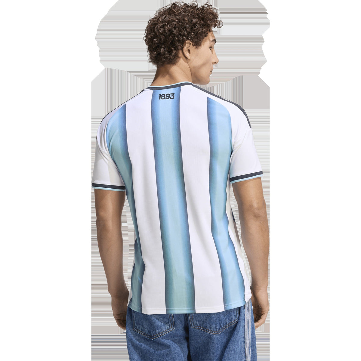 Argentina AFA Home Replica Jersey
