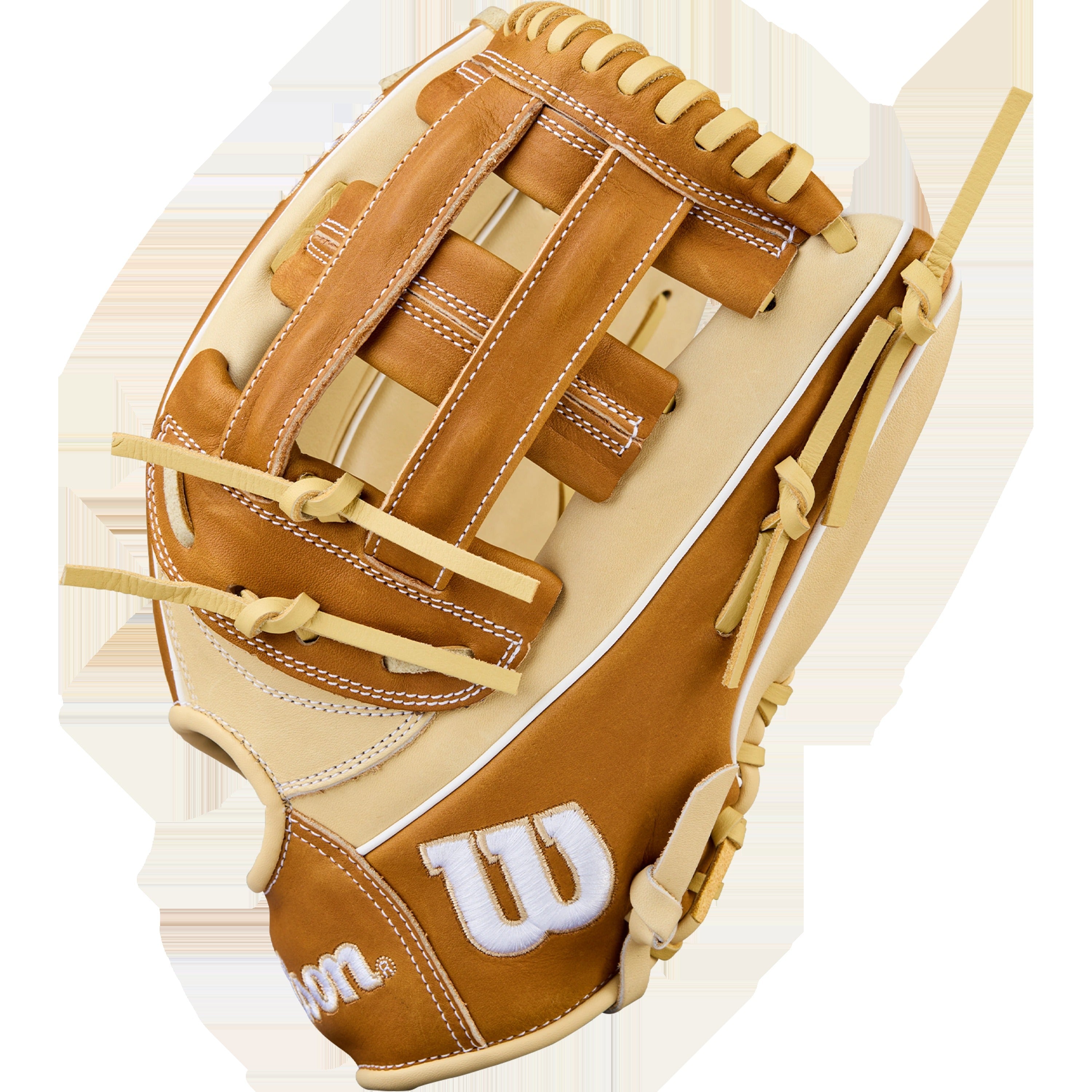 A1000 Outfield 1750 12.5" Dual Post Web