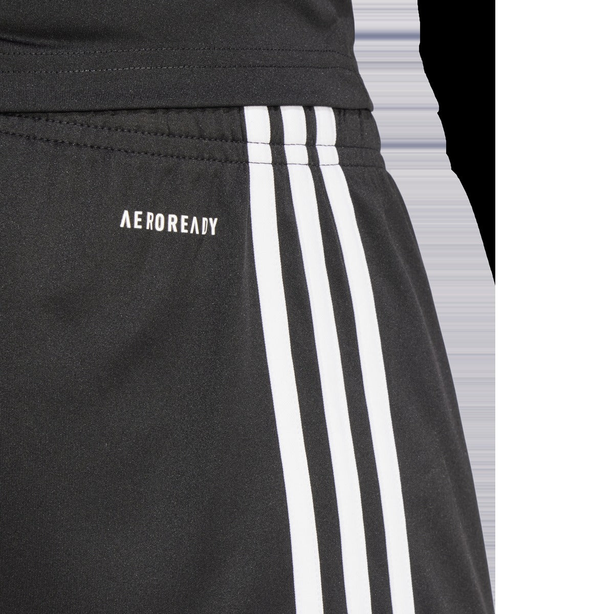 Men's Squadra 25 Shorts