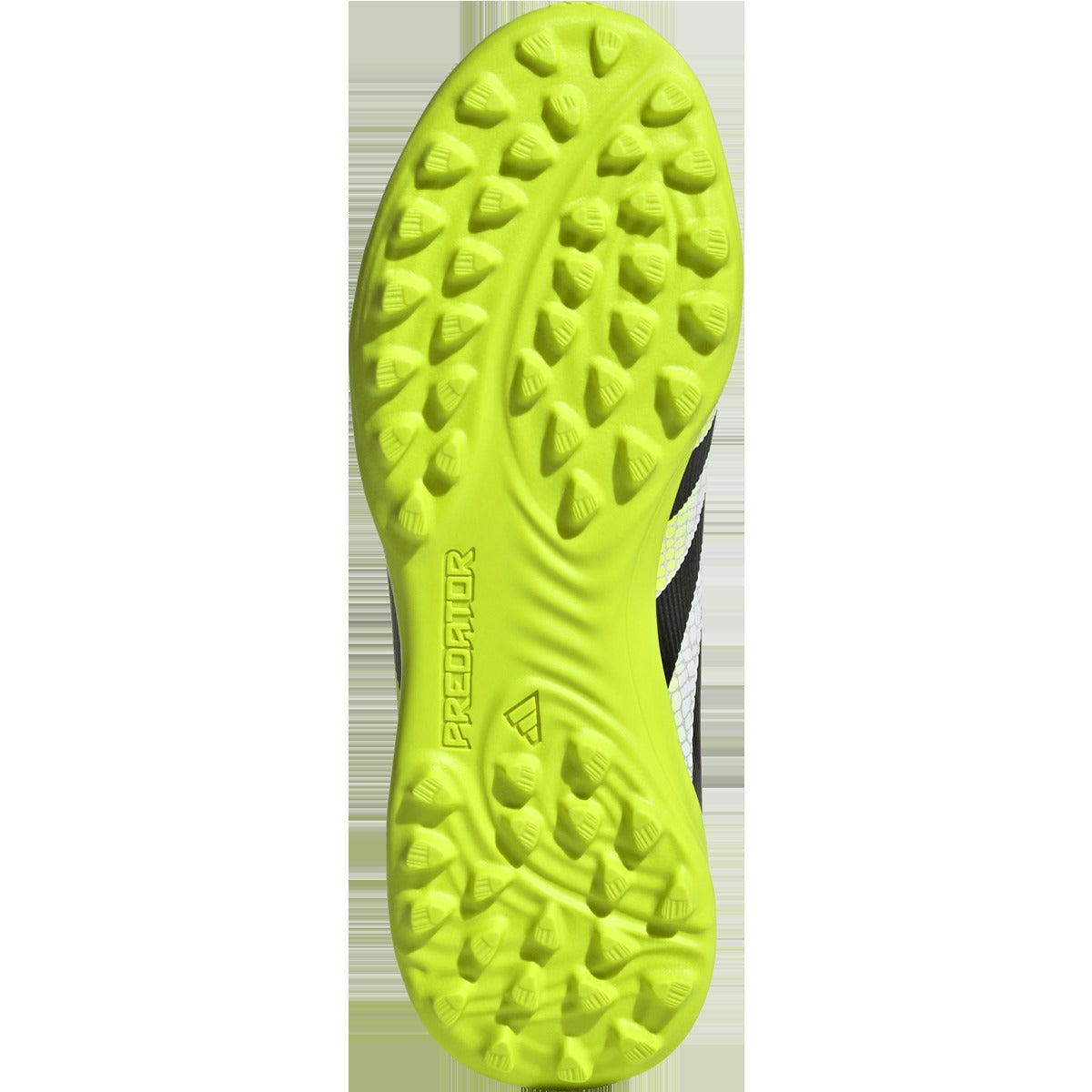 Youth Predator League TF