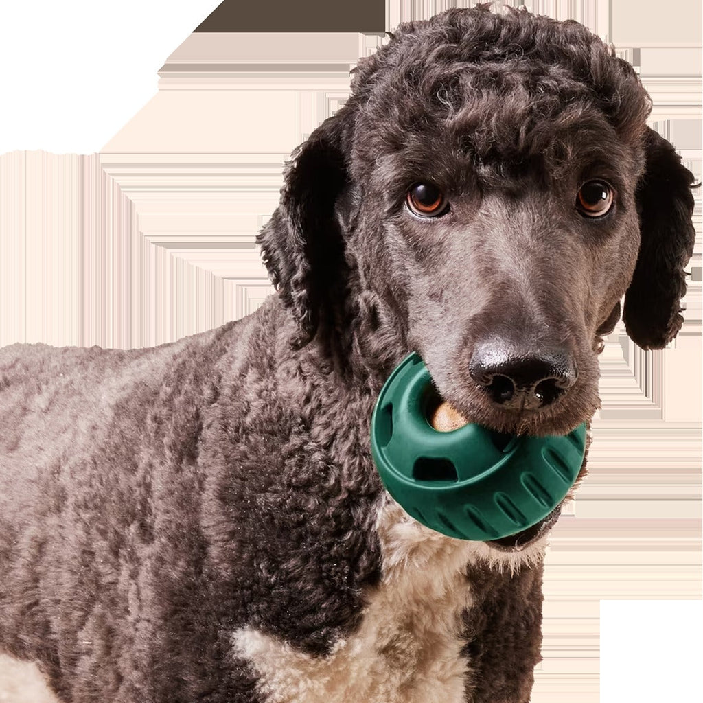 The Pupsicle