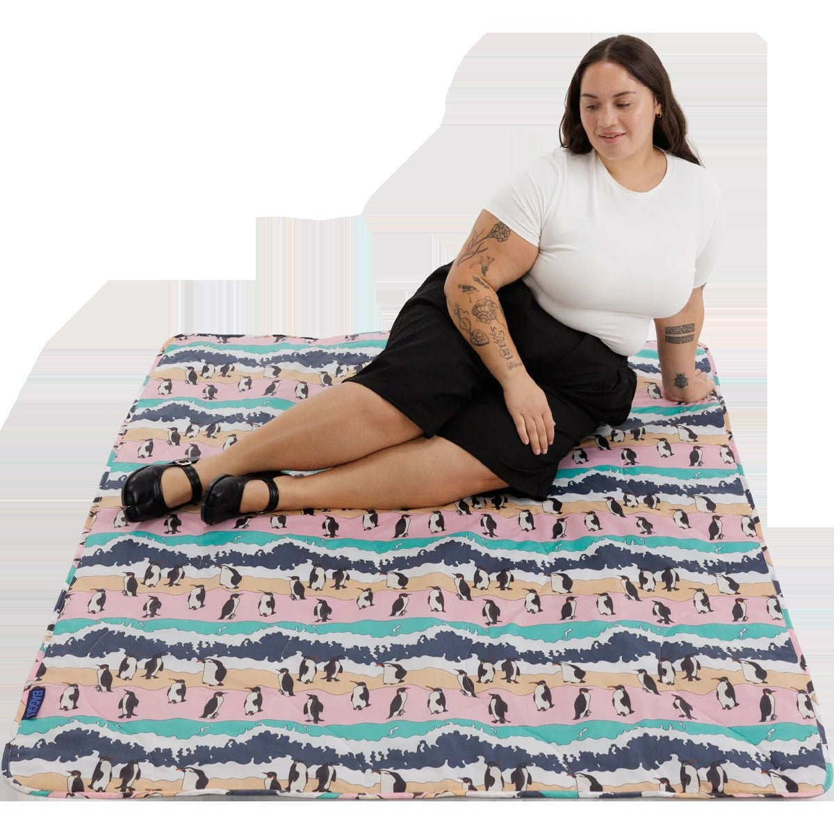 Puffy Picnic Blanket
