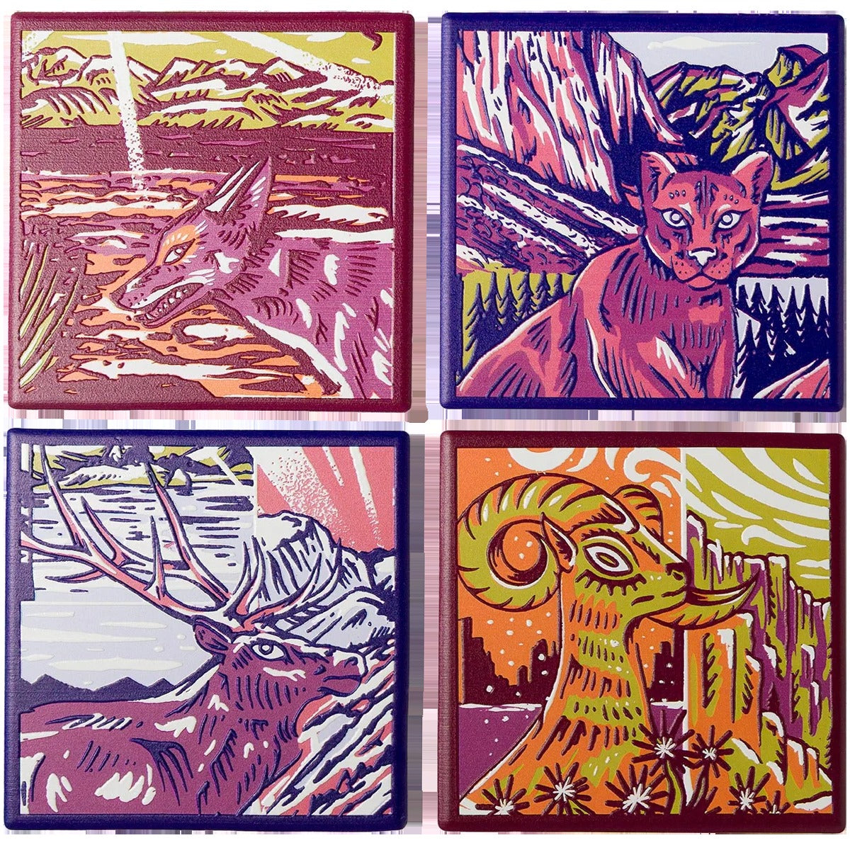 National Park Naturalist Coaster Set