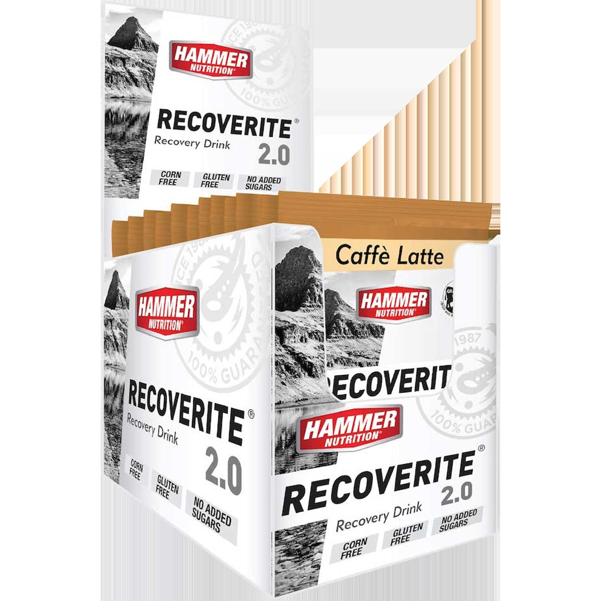 Recoverite 2.0 Single Serving