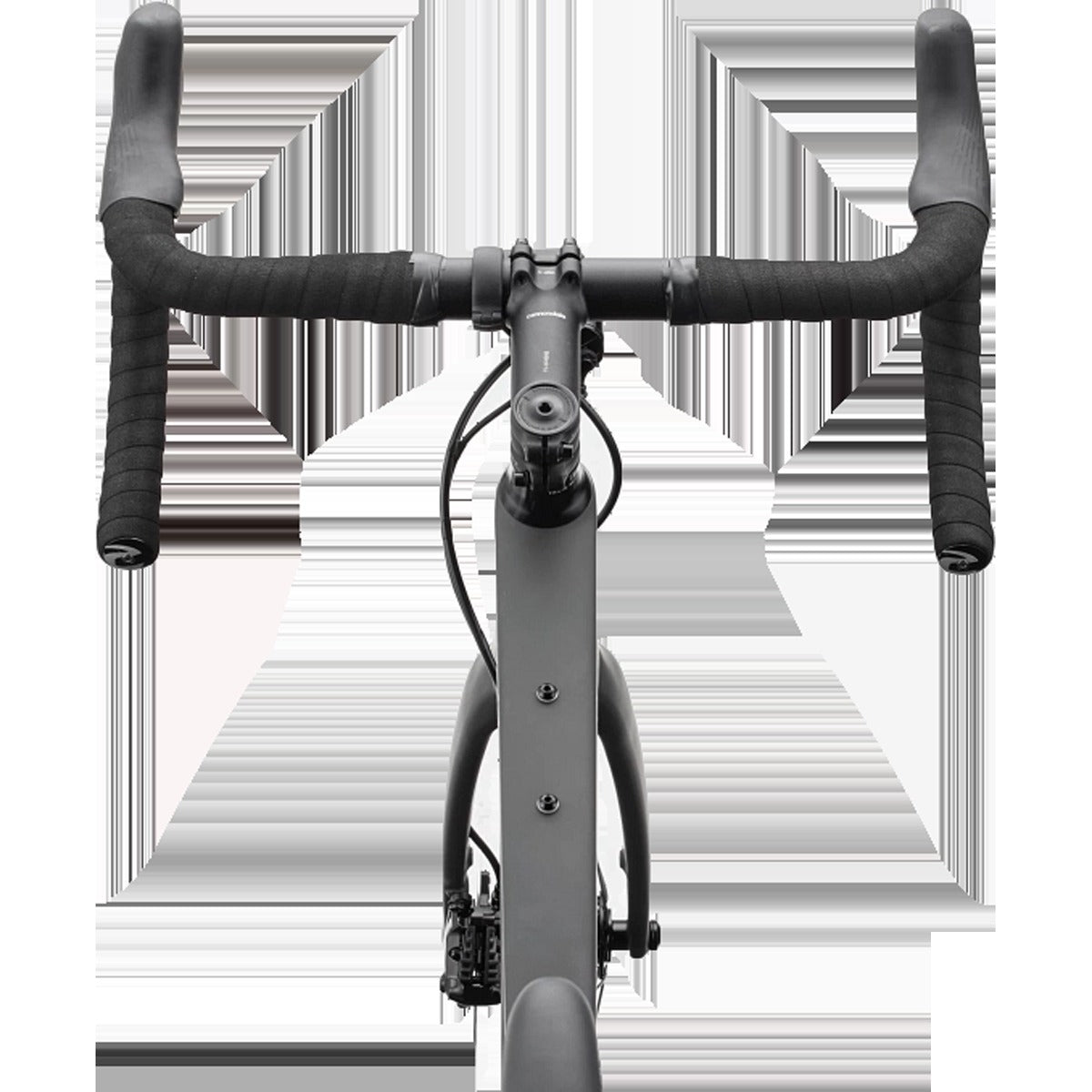 Synapse Carbon 2 LE