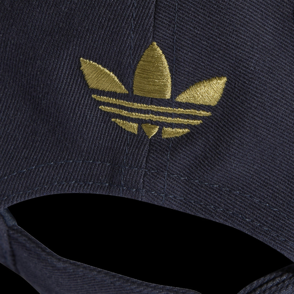 Argentina AFA Dad Cap