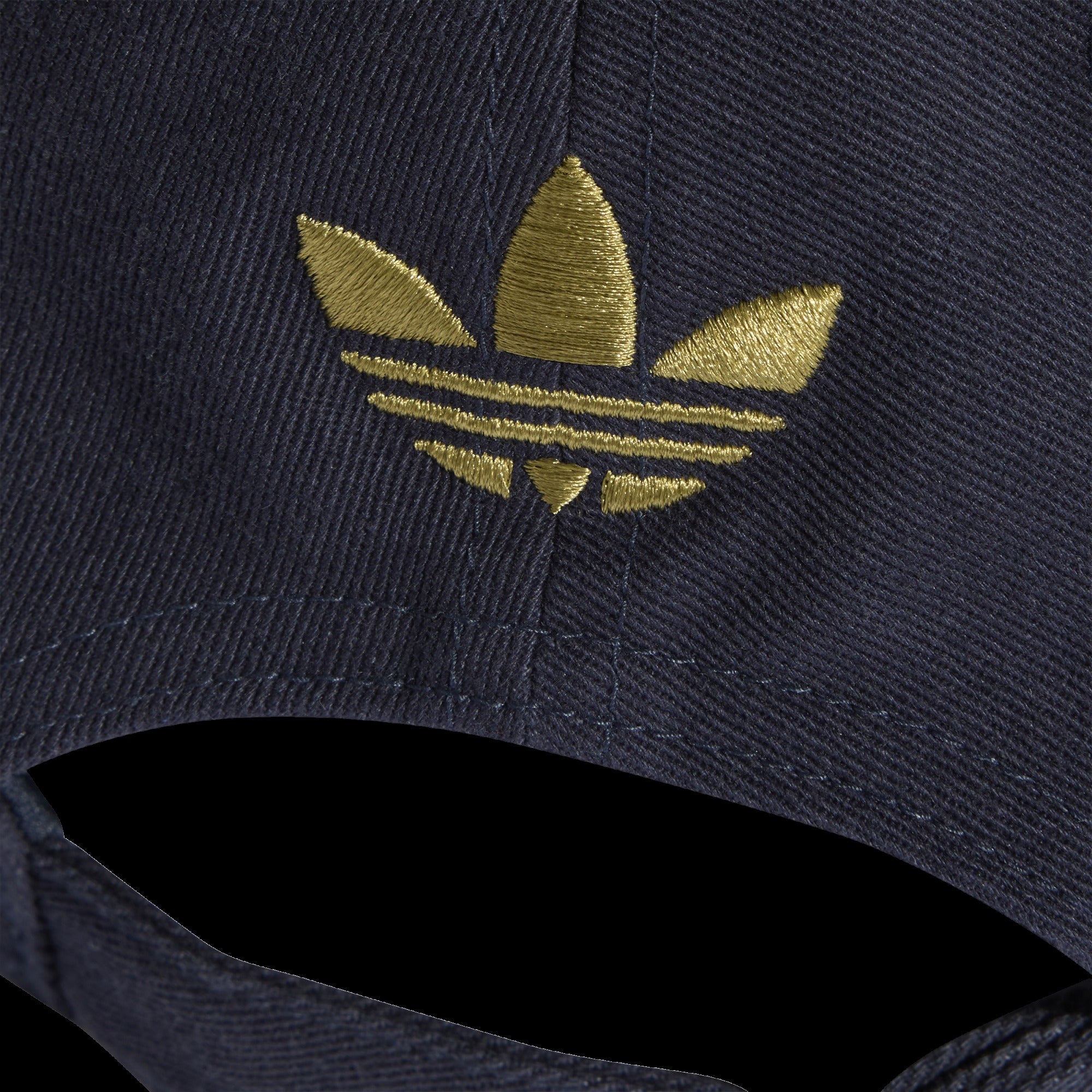 Argentina AFA Dad Cap