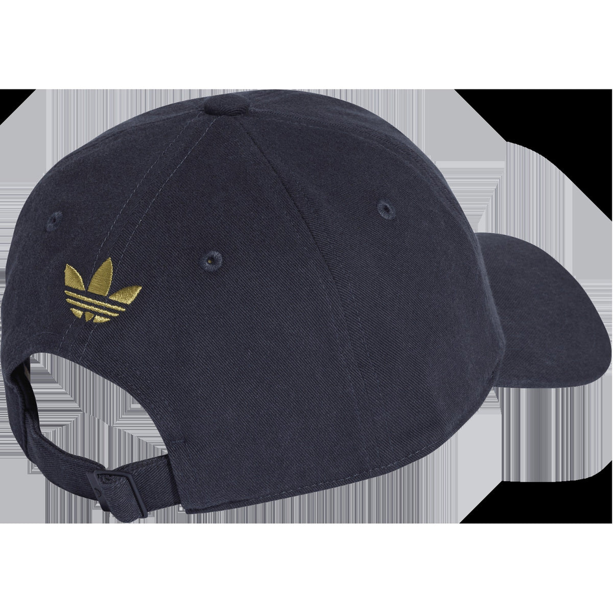 Argentina AFA Dad Cap