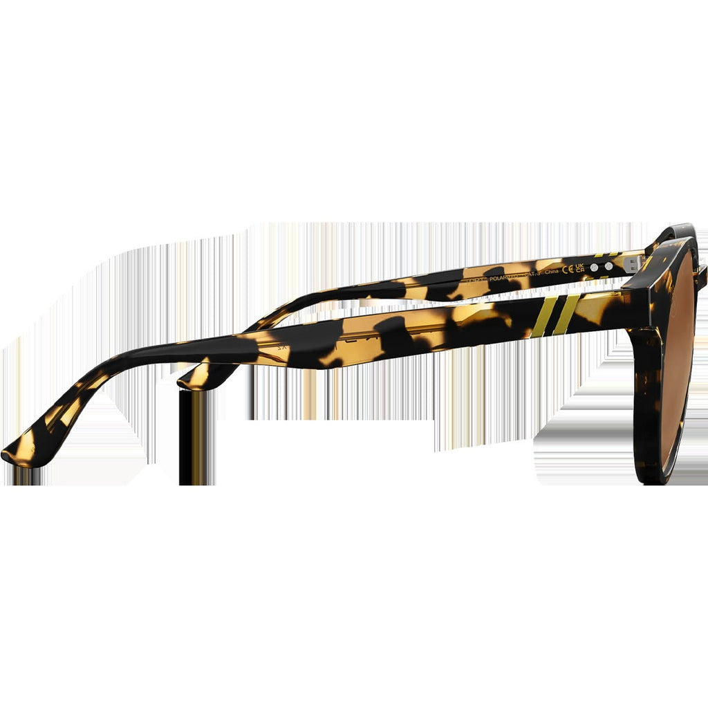 Coastal X2 - Tort