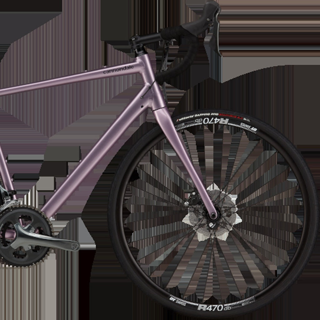 Synapse 2