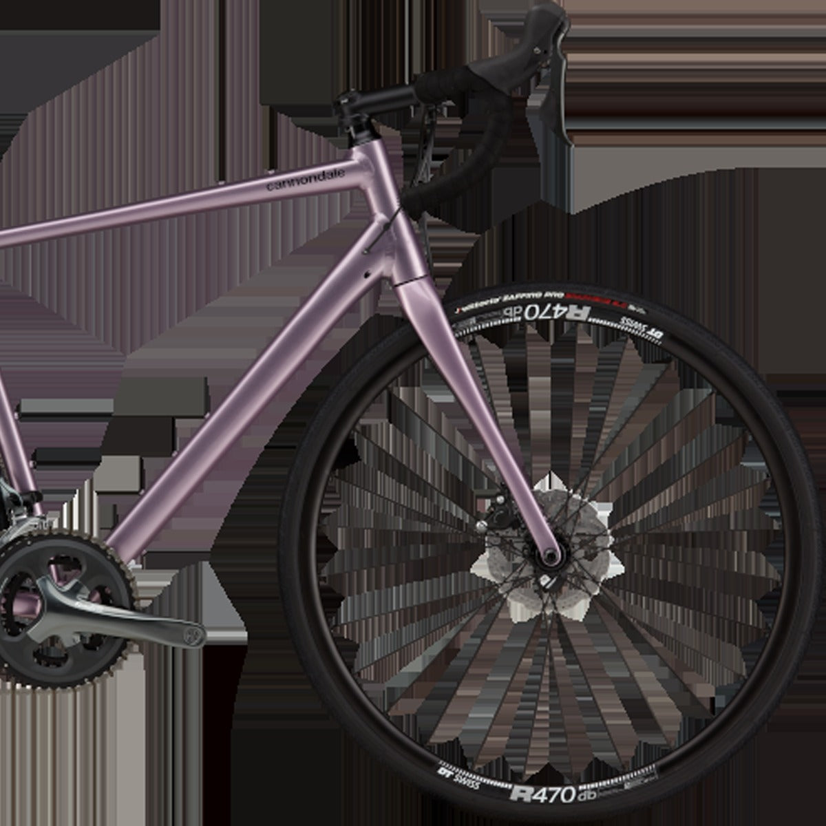 Synapse 2