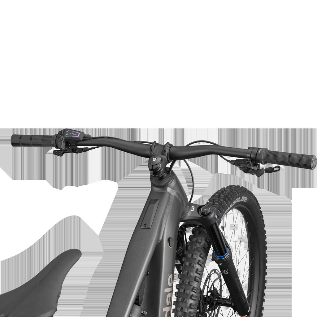 Moterra Neo 4