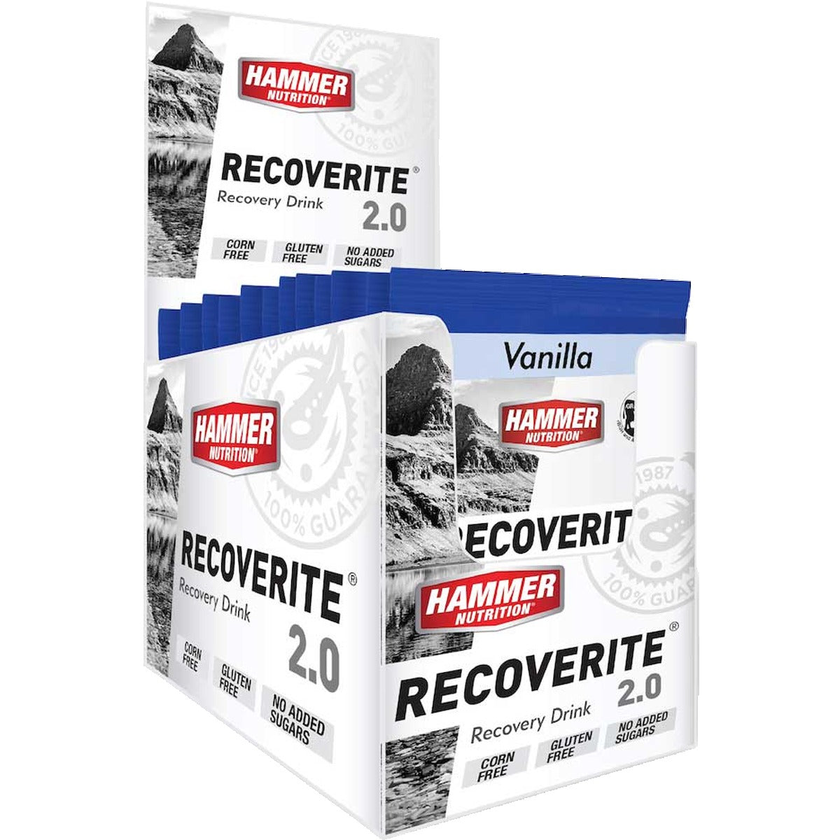 Recoverite 2.0 Single Serving