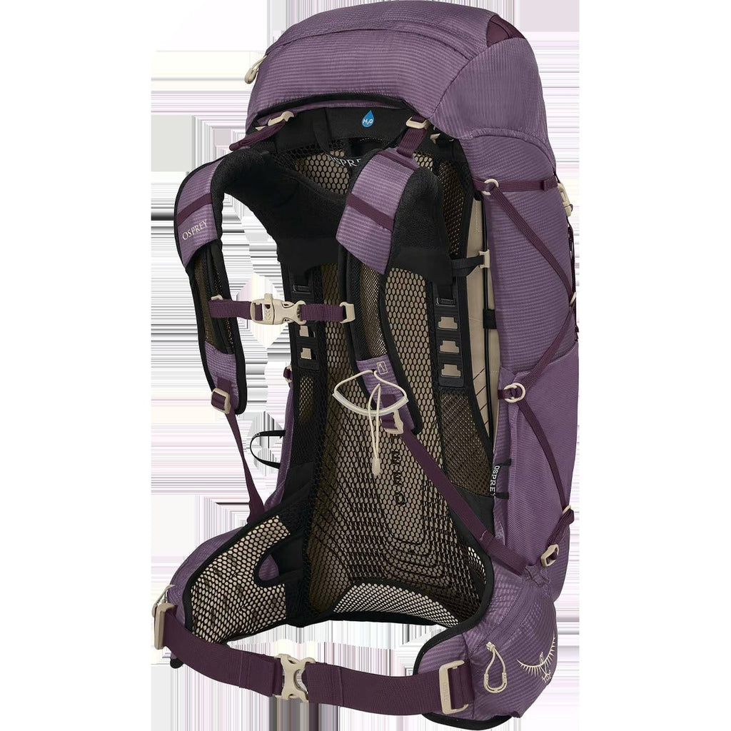 Women's Eja 38