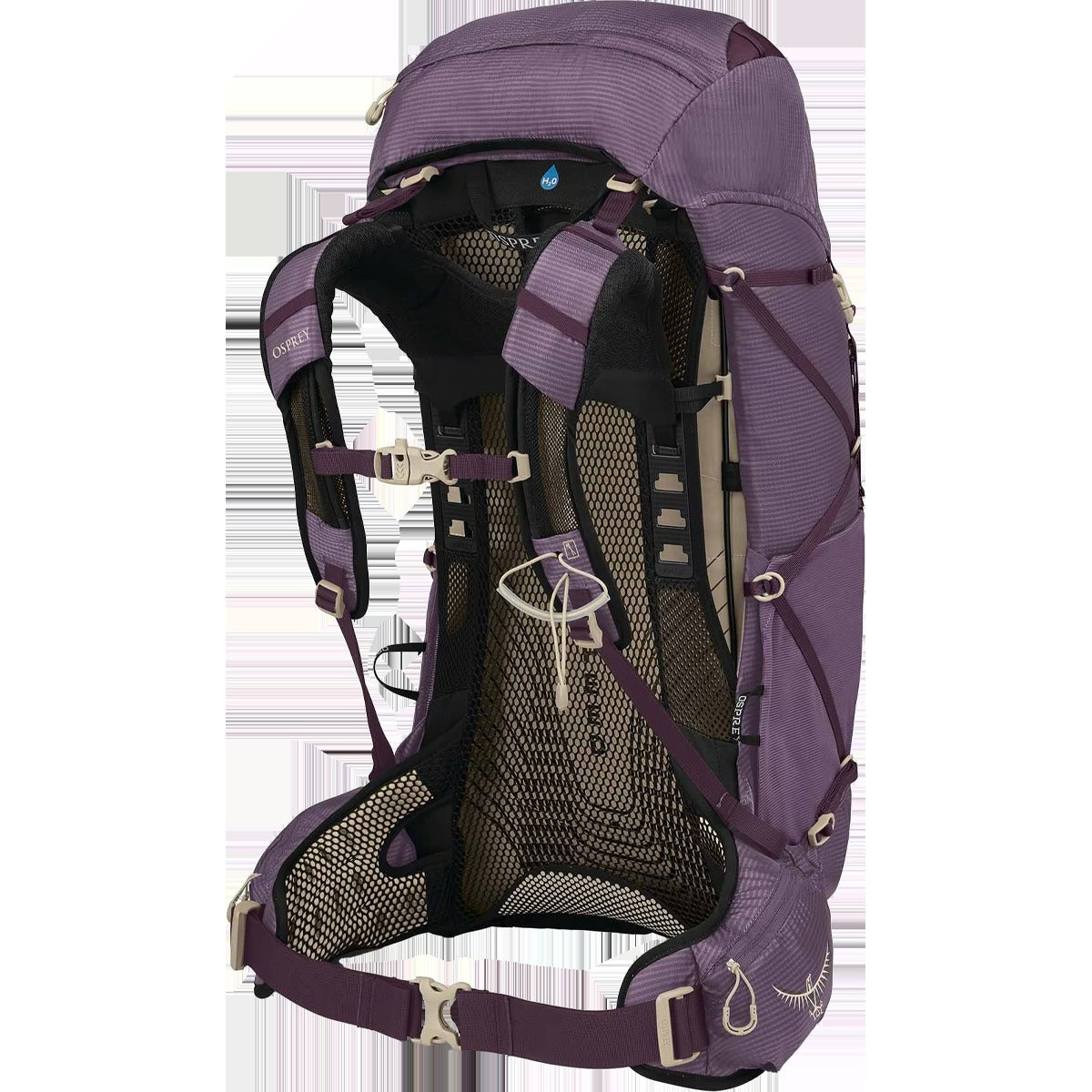 Women's Eja 38