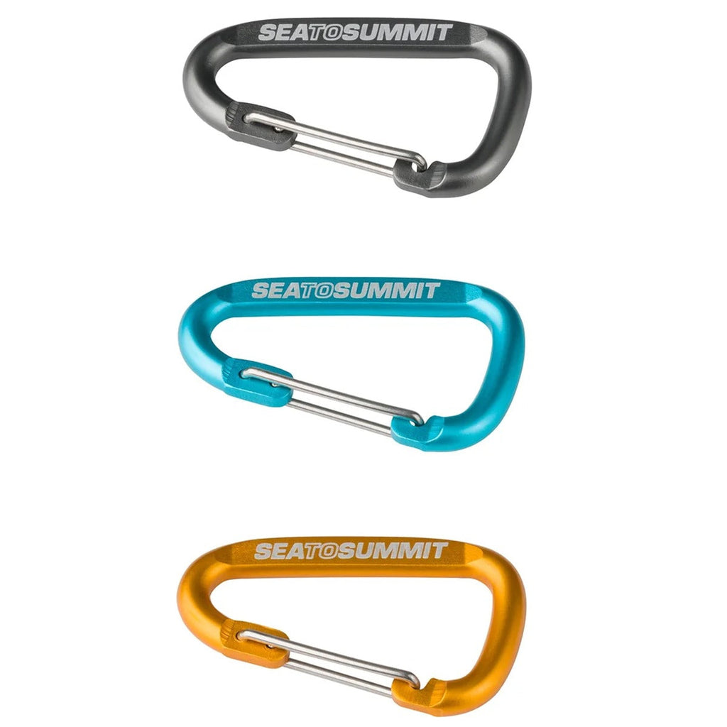 Accessory Carabiner Small