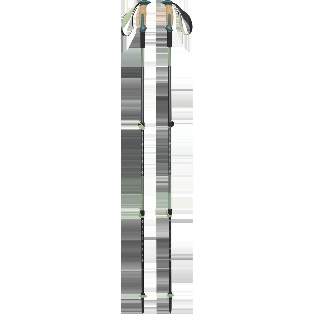 Trail Vista Shock Trekking Poles