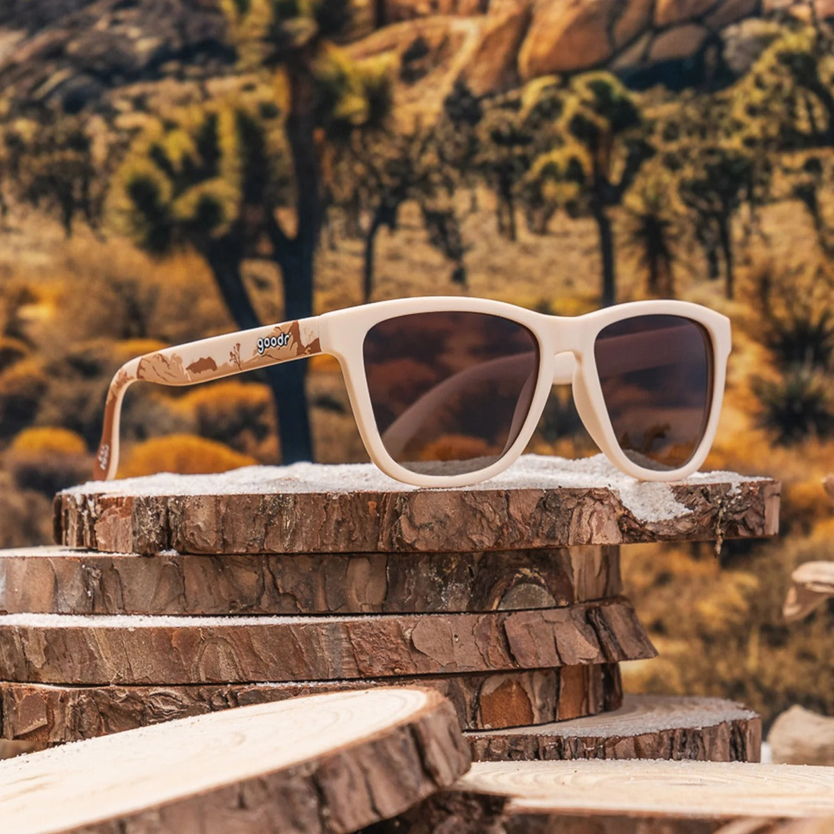 OG - Joshua Tree National Park