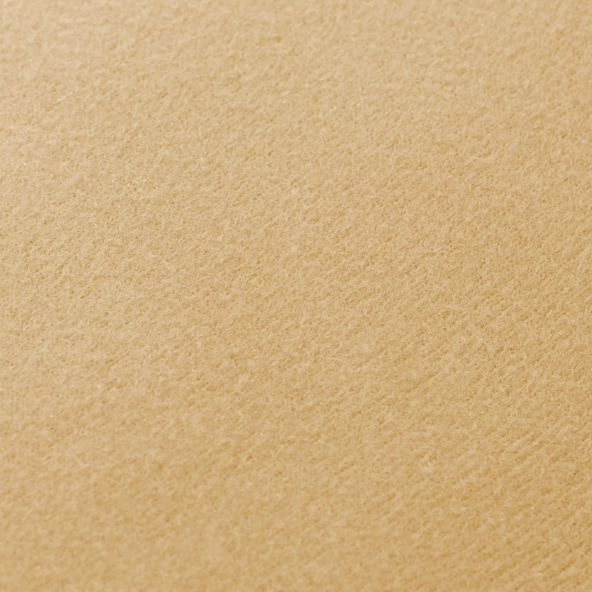 Foam Core Pillow Regular
