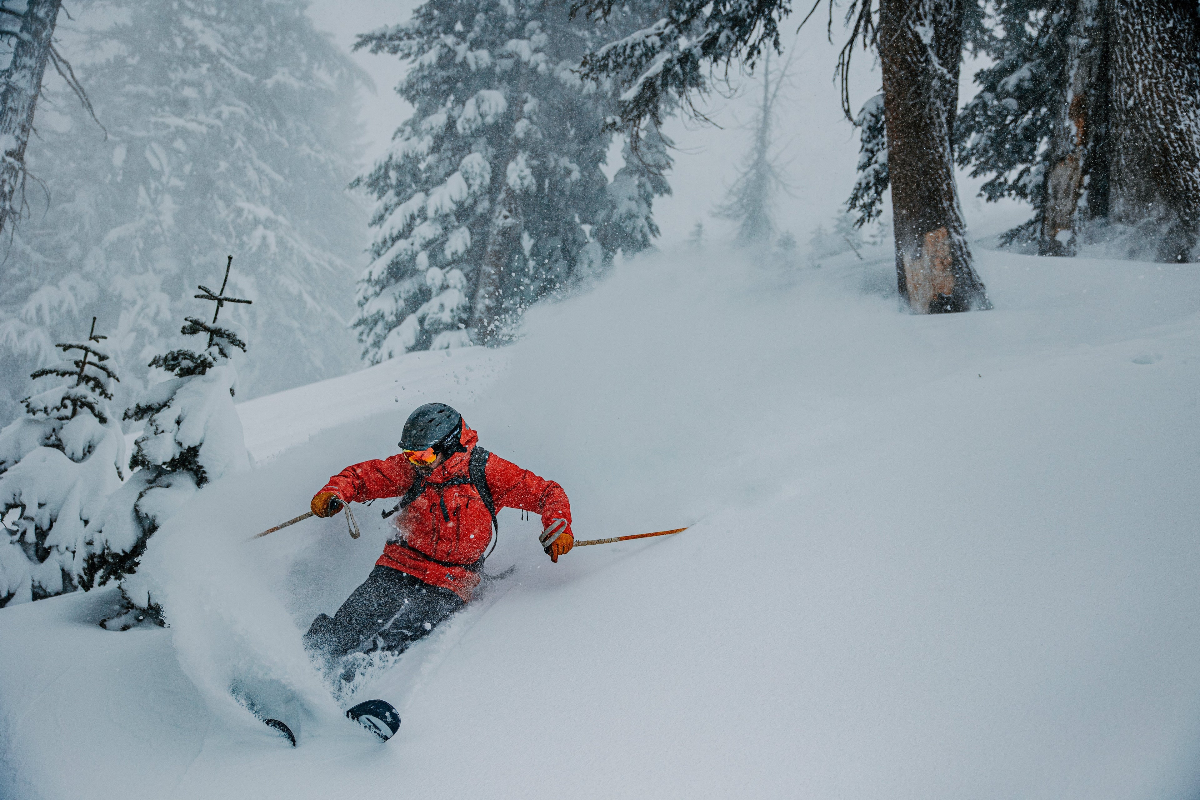 Bear Valley Ski Bus