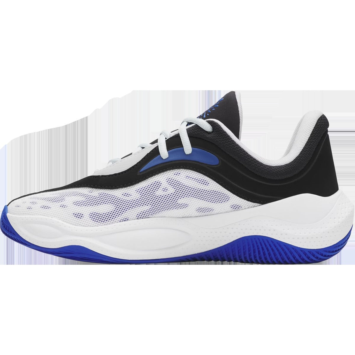 Curry Splash 25