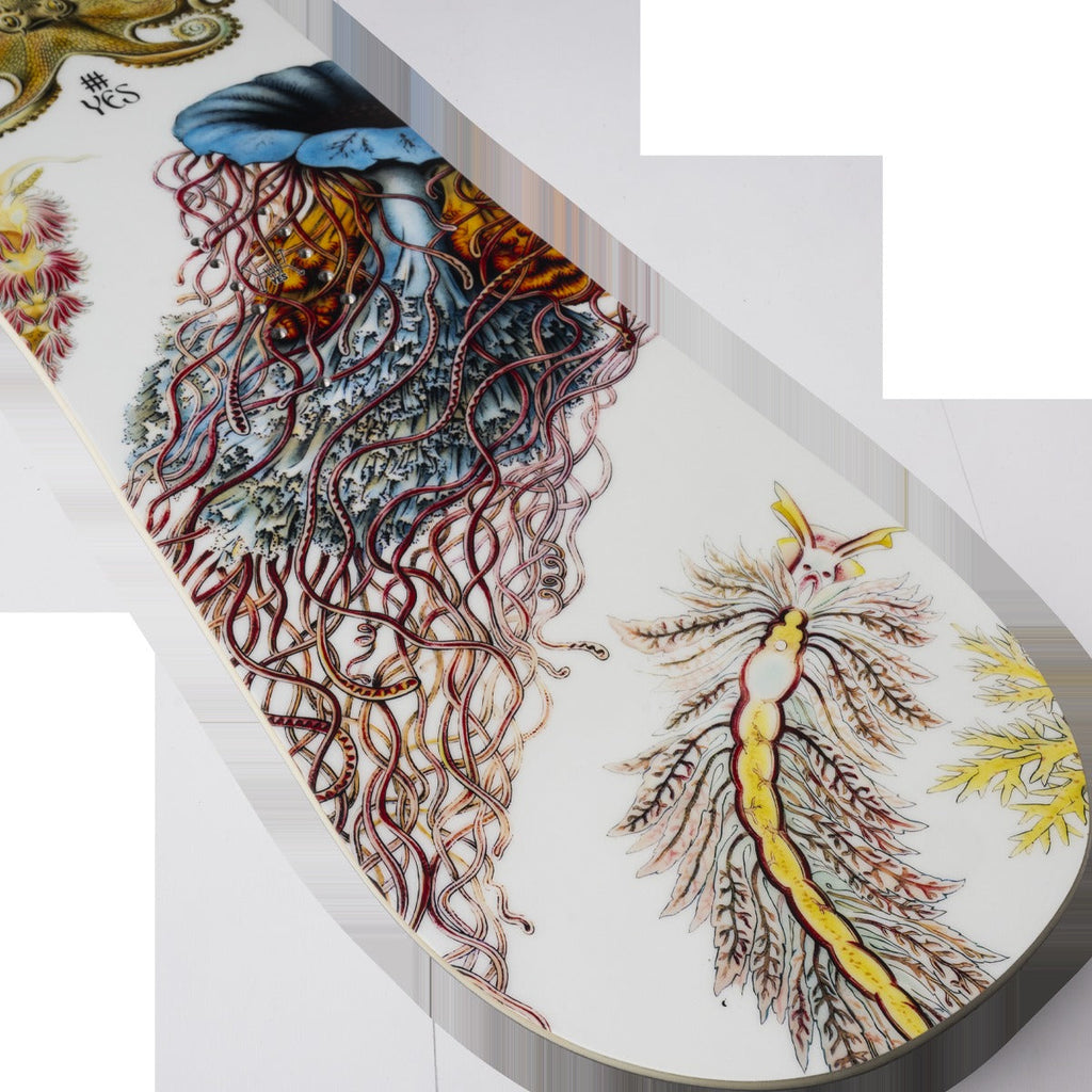 Yes Women's Hell Yes Demo Snowboard