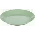 Cascadian Plate
