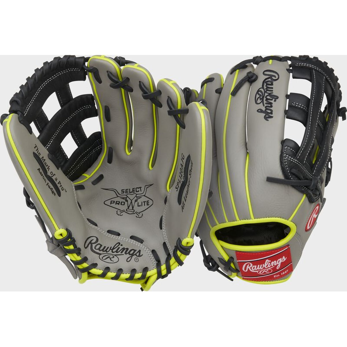 Youth Select Pro Lite Judge 12" H-Web