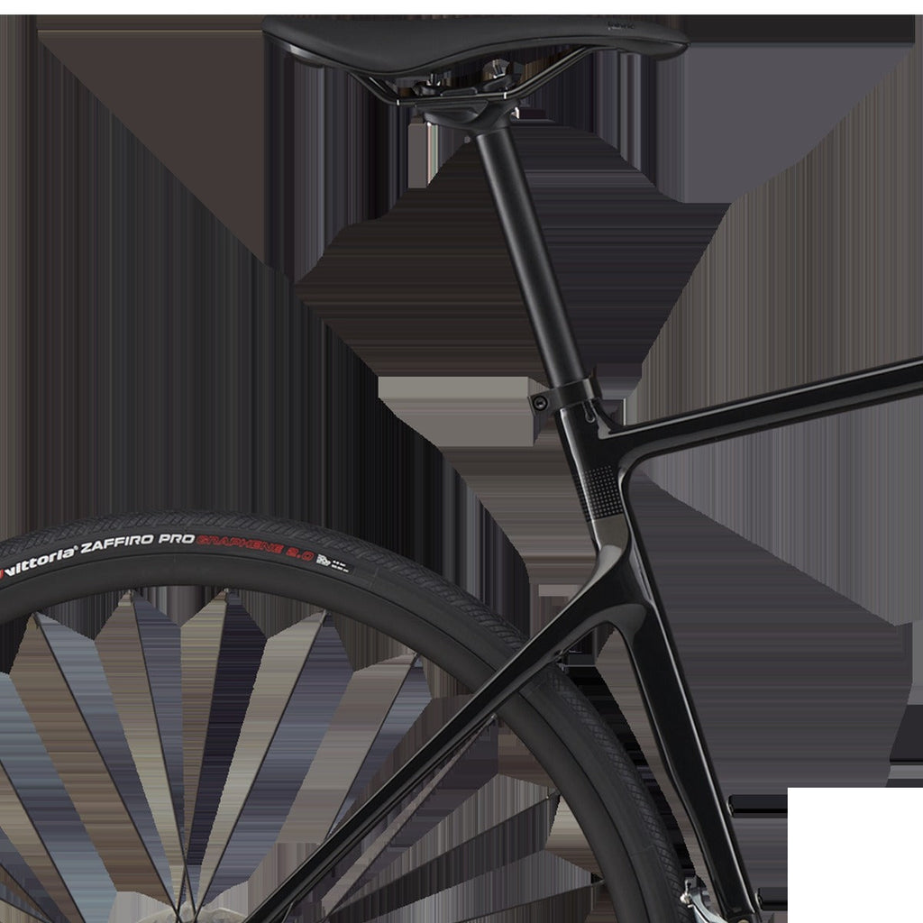 Synapse Carbon 4