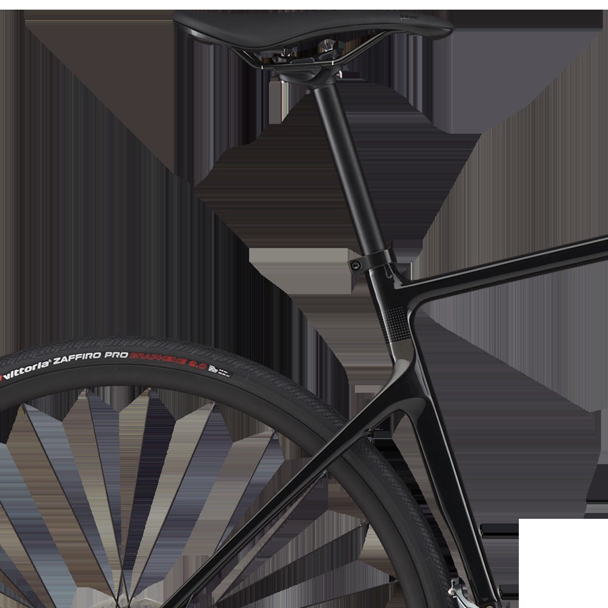 Synapse Carbon 4