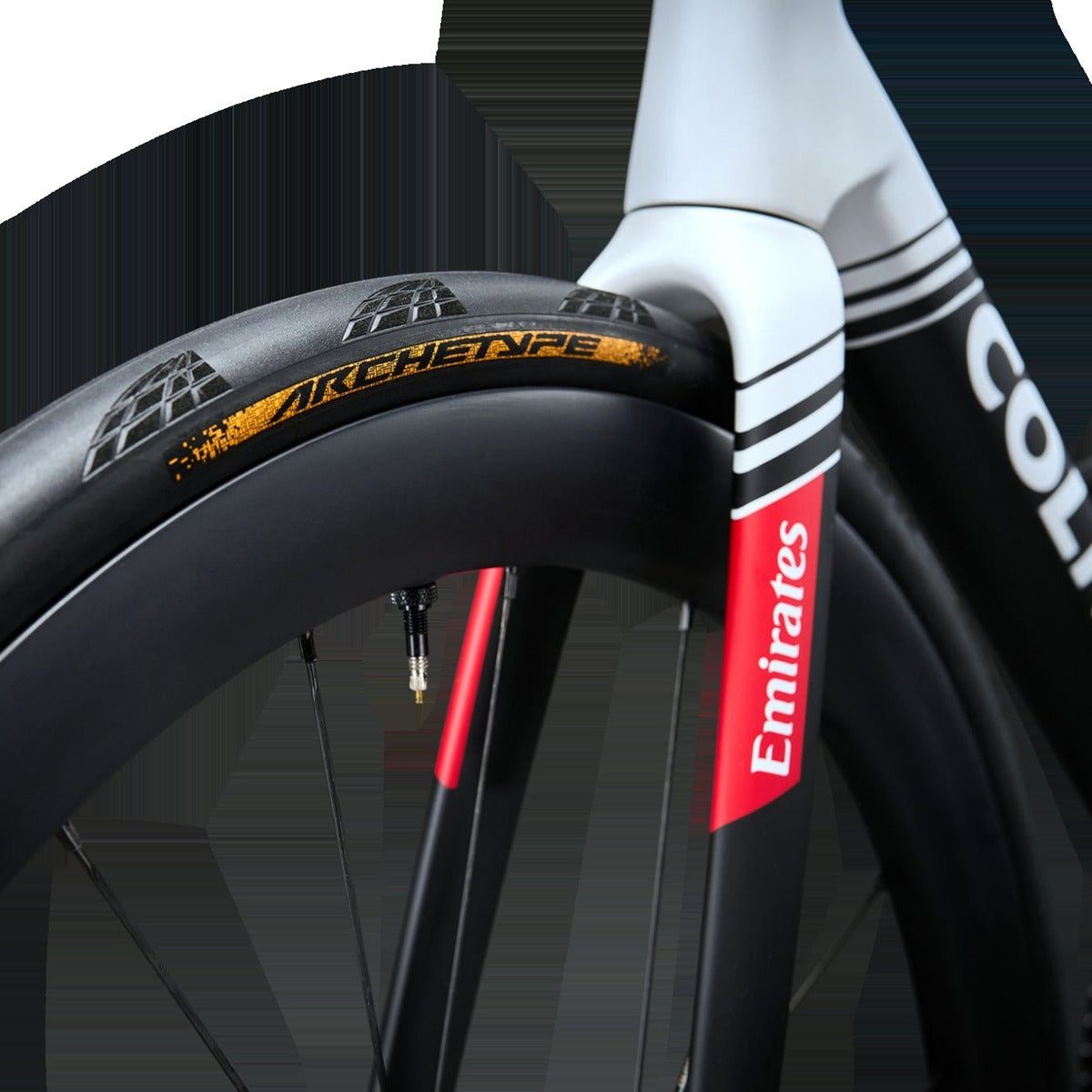 Archetype 700 x 30 Tubeless