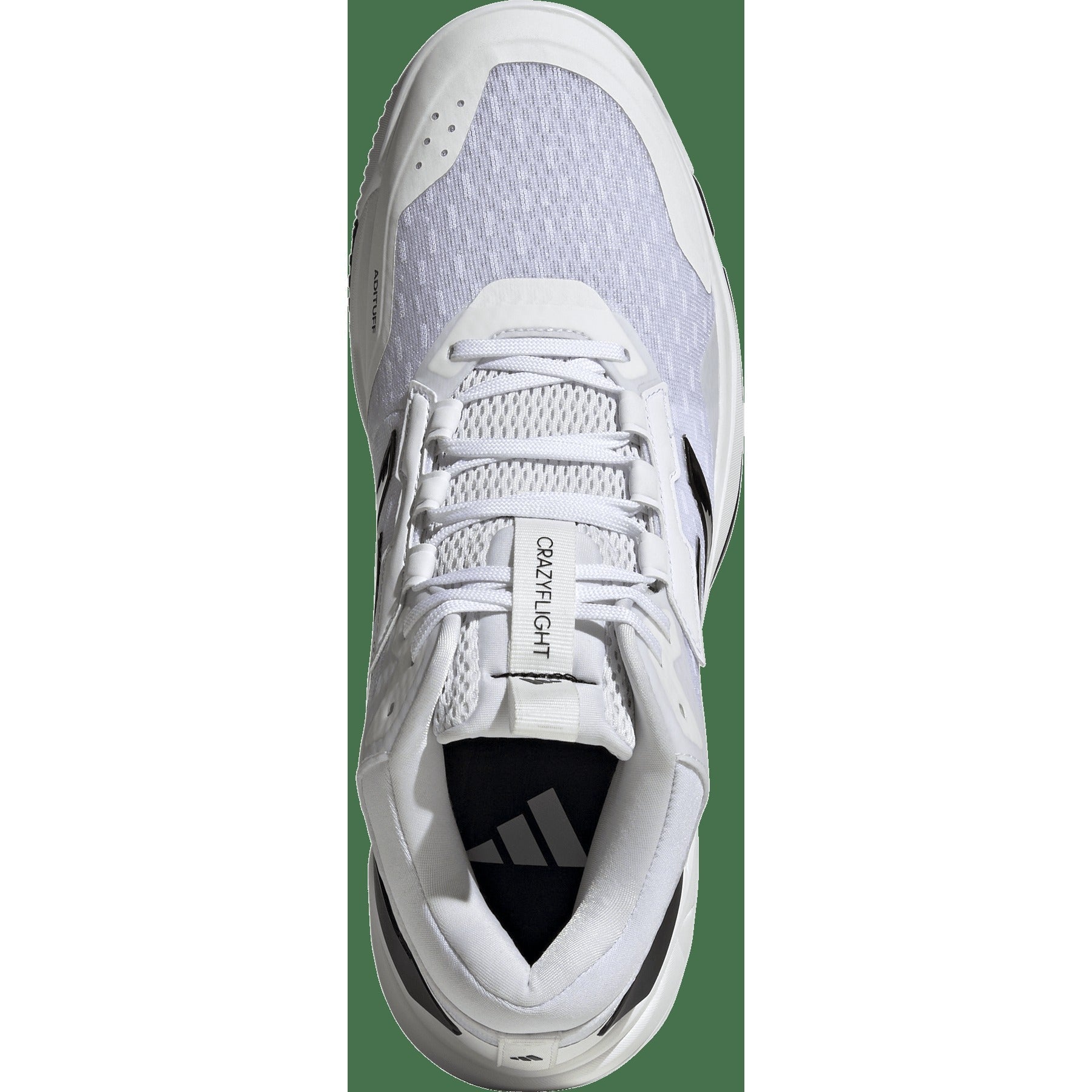 Men's Crazyflight 6 Mid