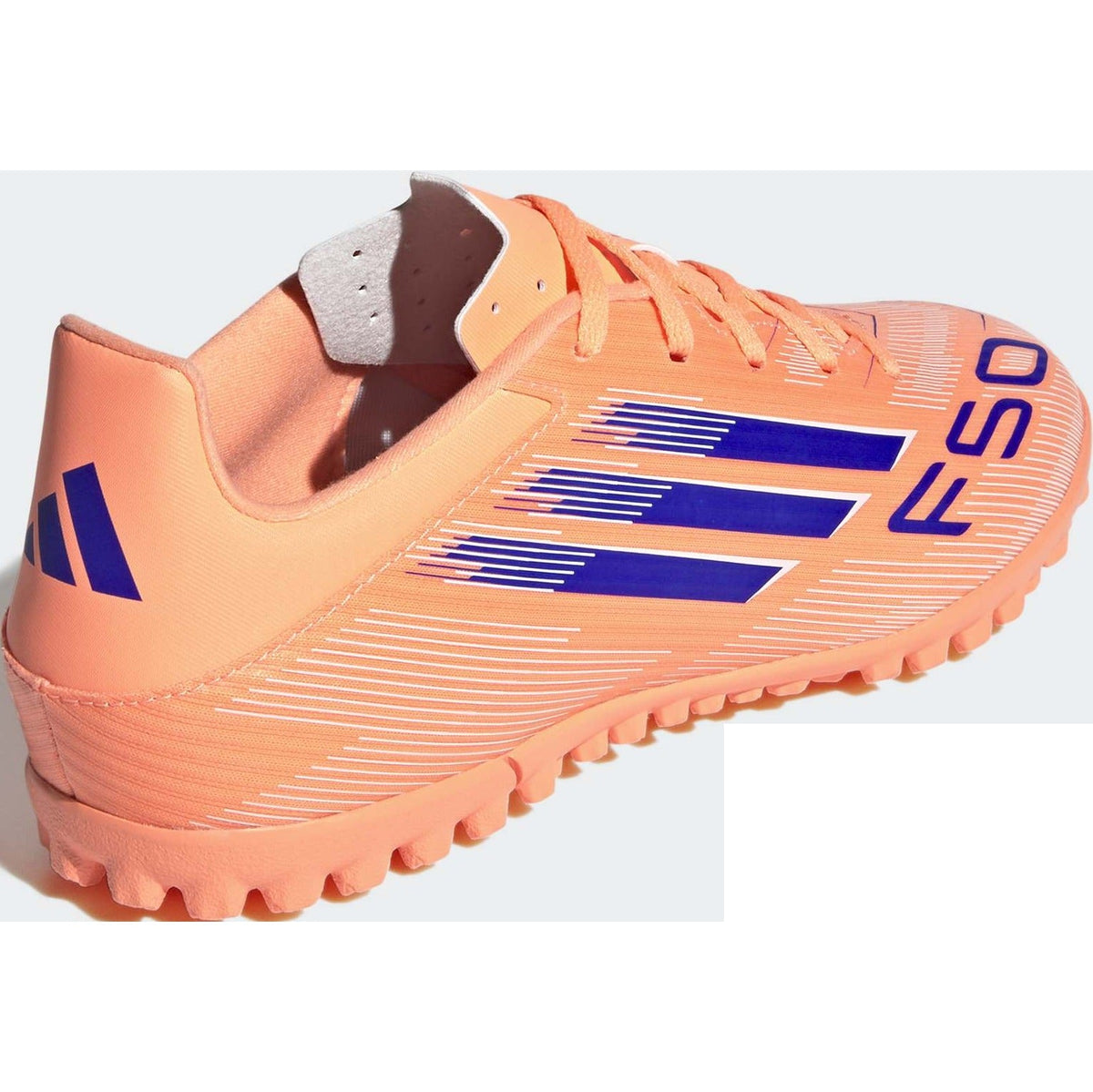 F50 Club TF