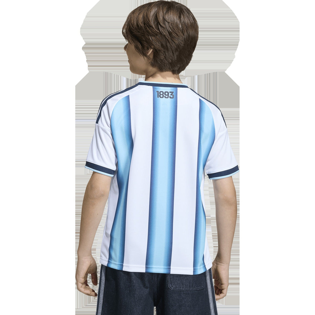 Youth Argentina AFA Home Replica Jersey