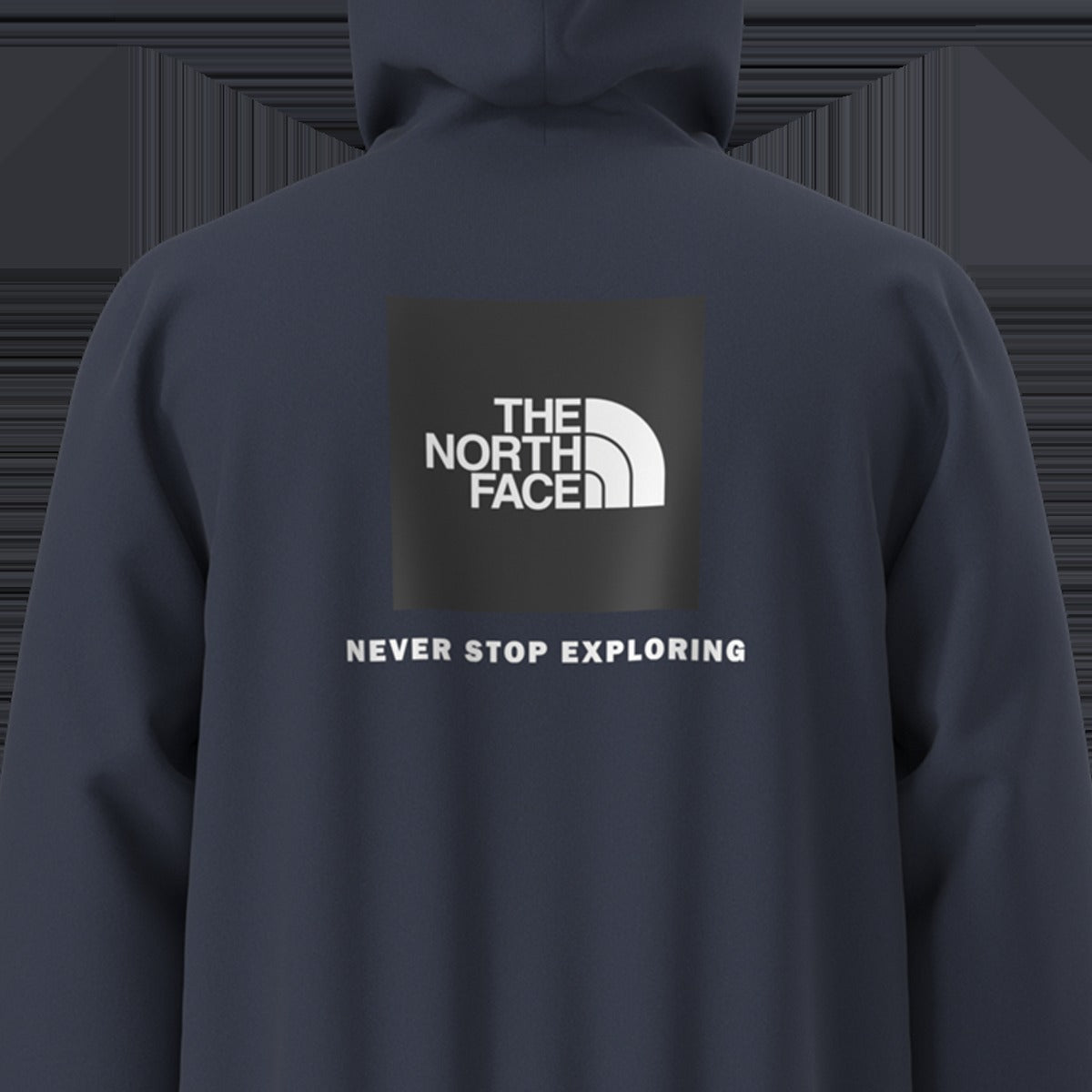 Men's Evolution Box NSE Regular Hoodie