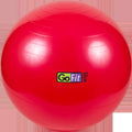 Stability Ball - 55 cm