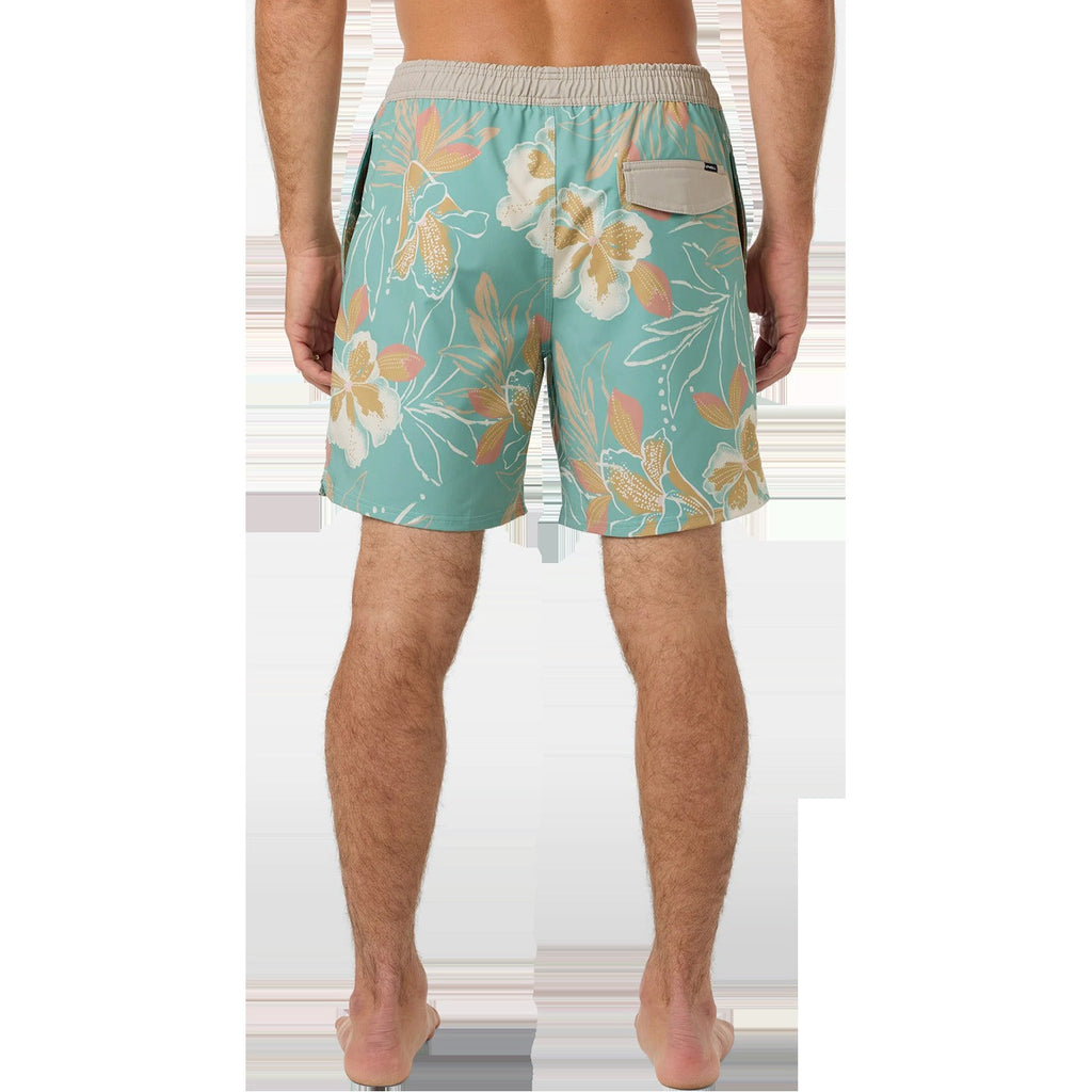 Men's Hermosa Elastic Waist Lined Trunk 17"