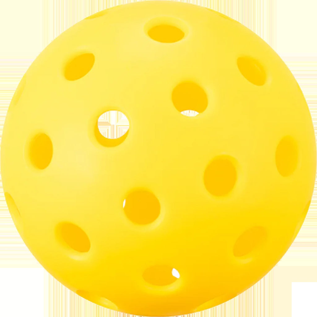 Dash Pickleball Pack