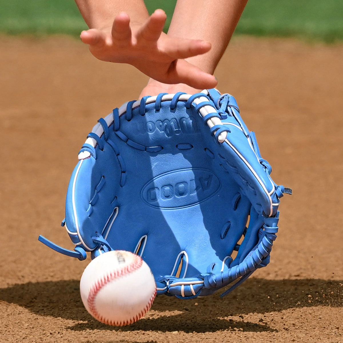 A1000 1786 Infield 11.5" H-Web