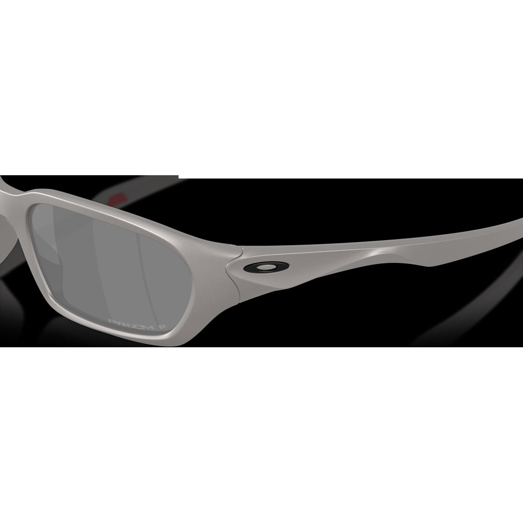 Terraforma - Titanium/Prizm Black Polarized
