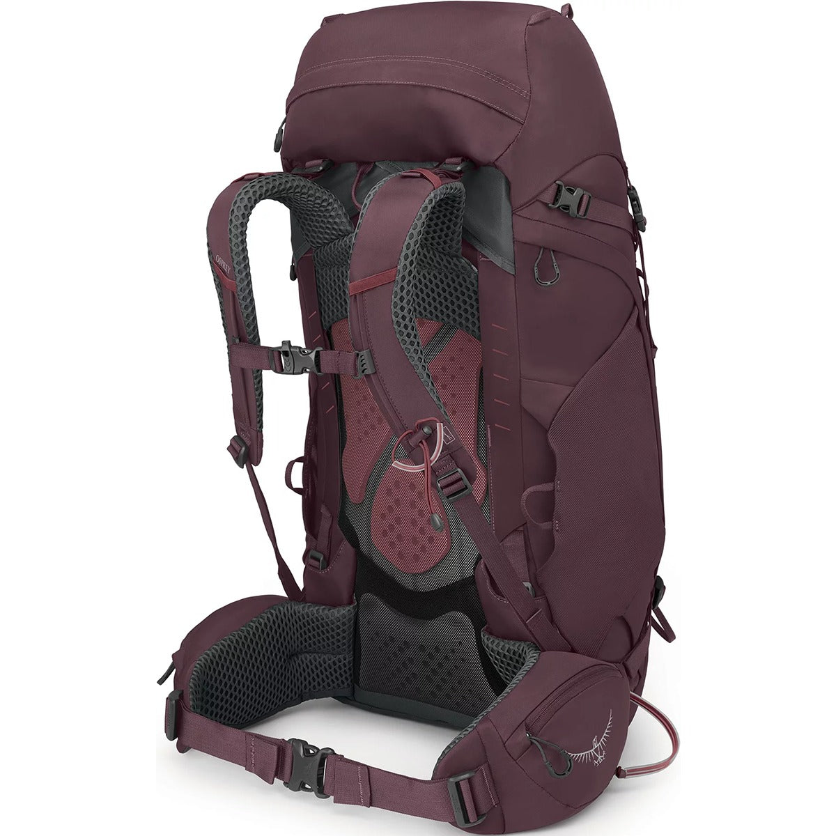 Women's Kyte 48