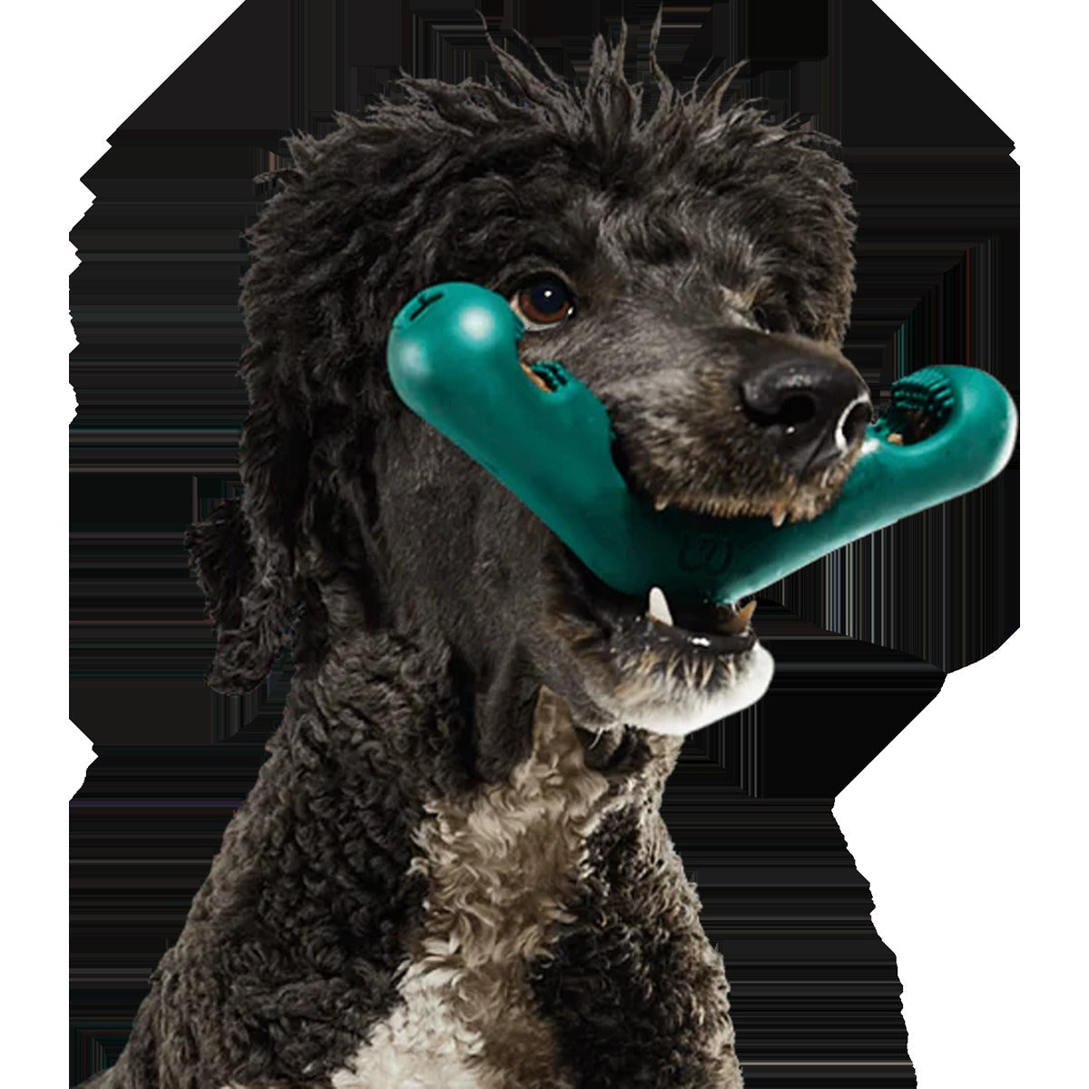 The Bite N' Brush