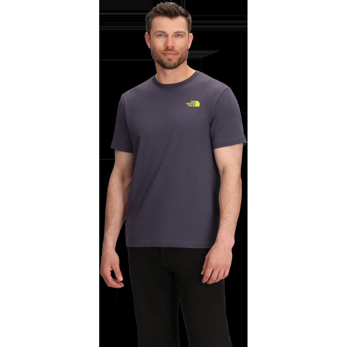 Men's Mountain Scape Regular Short Sleeve Tee
