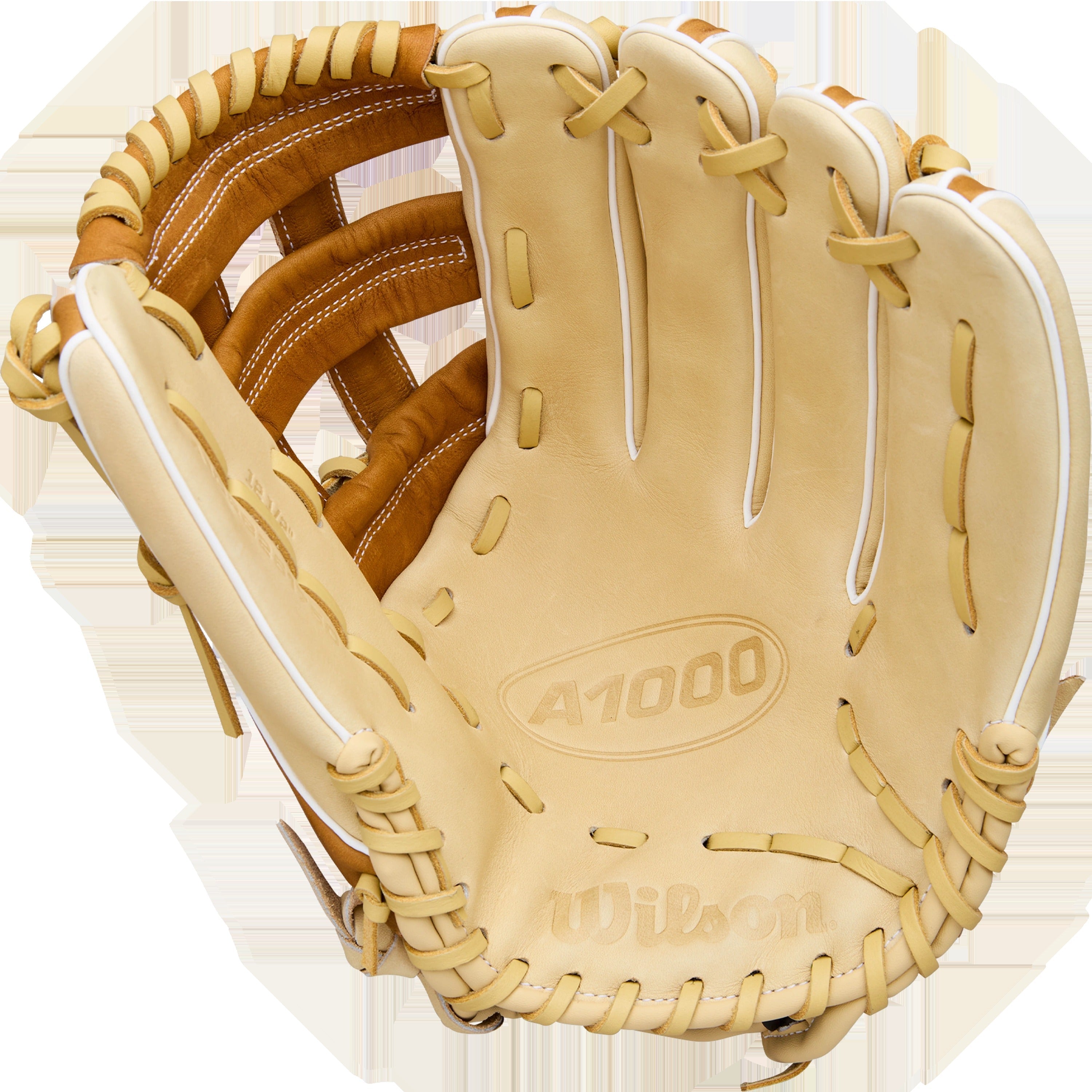 A1000 Outfield 1750 12.5" Dual Post Web