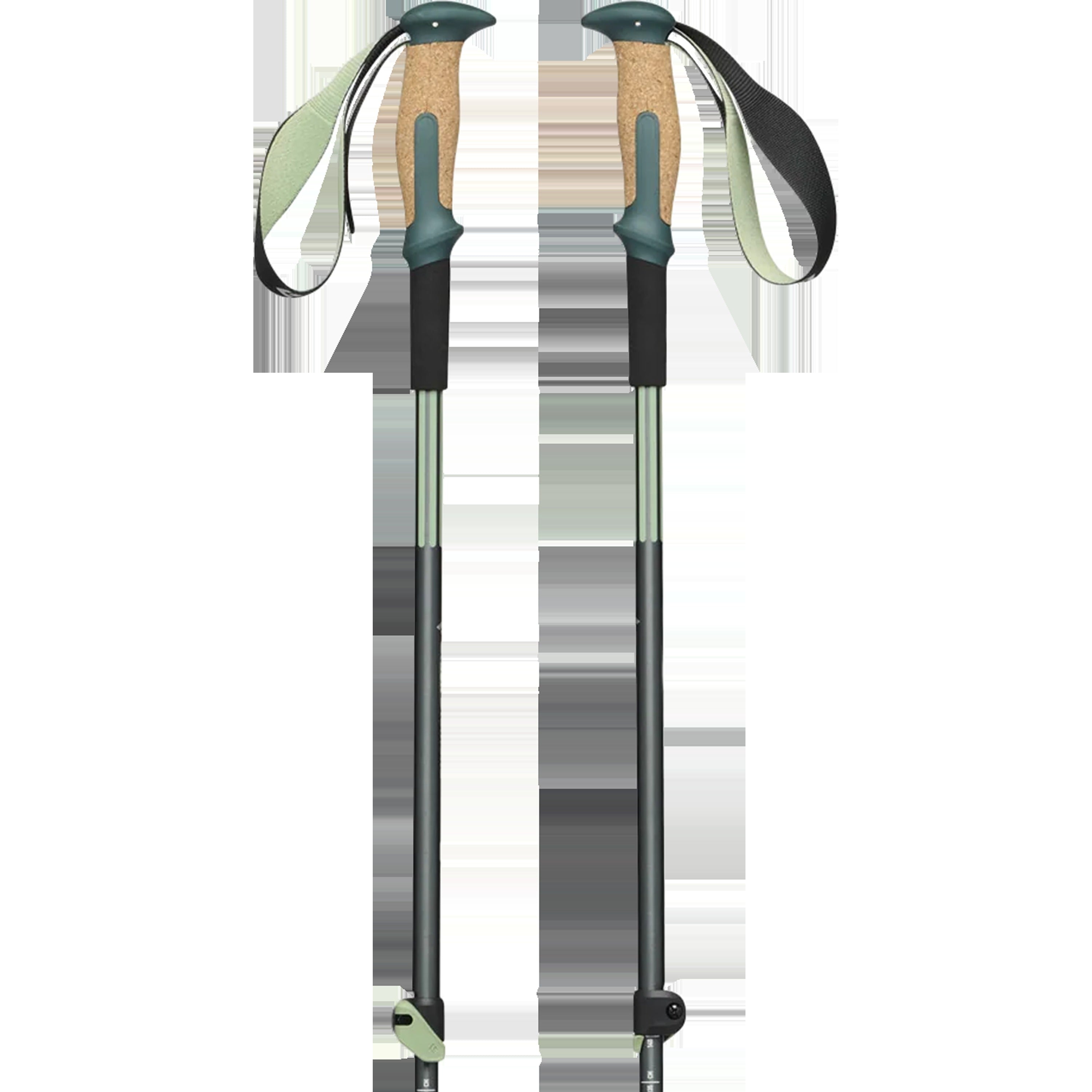 Trail Vista Shock Trekking Poles