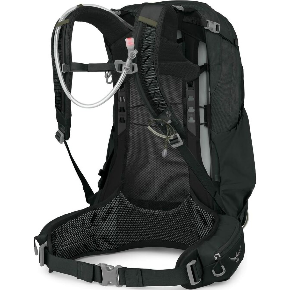 Manta 34 with reservoir